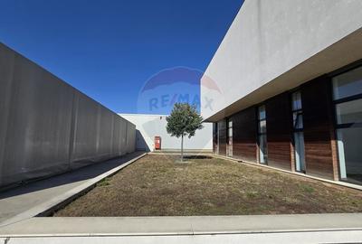 Spațiu industrial, de 16,000 mp, în Vest - 4