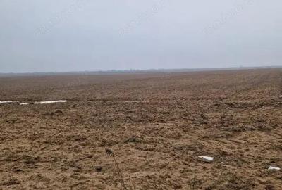 Teren de 2500 mp, în Malu Mare - 2