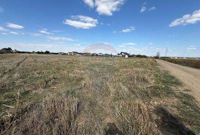 Vand teren intravilan 10.000 mp in Sabareni - 7