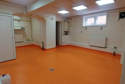 Proprietate specială, de 100 mp, în Pantelimon - 10