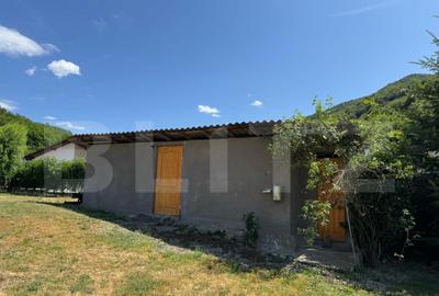 Casa cu 2 camere 53 mp in Lesnic, COMISION 0 PENTRU CUMPARAT - 11