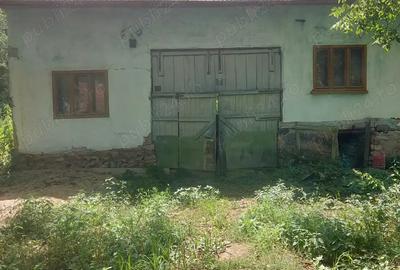 Vand casa cu gradina