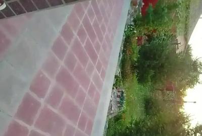 Casă cu 3 camere în Mihai Viteazu - 8