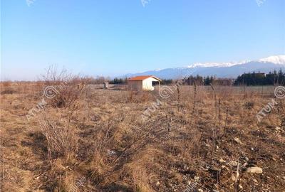 Teren intravilan 1000 mp pe Valea Avrigului la drum asfalta - 5