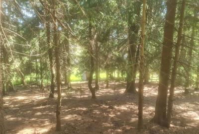 Spațiu comercial, în Arieșeni - 4