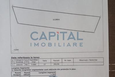 Teren de vanzare extravilan, Sanpetru - 6