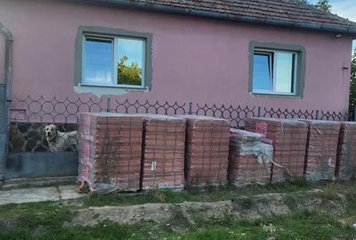 Casă cu 3 camere cu Teren 1500 Mp în Ianoșda - 1