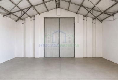 Spațiu comercial, de 831 mp, în Ișalnița - 3