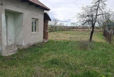 Casă cu 3 camere cu Teren 1000 Mp în Bratia din Deal - 1
