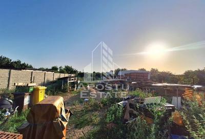Casa cu 4 camere, 1520 mp teren, Gai - 7