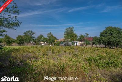 Casă cu 4 camere cu Teren 2106 Mp în Topraisar - 3