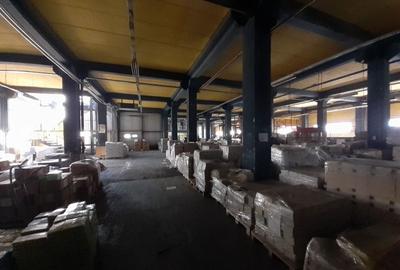Spațiu industrial, de 2,750 mp, în Berceni - 3