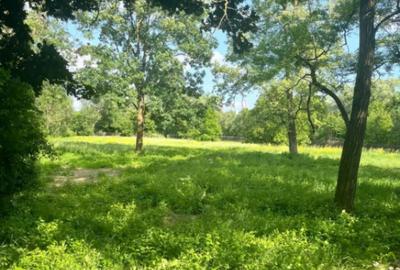 Teren de 10000 mp, în Vicovu de Sus - 1