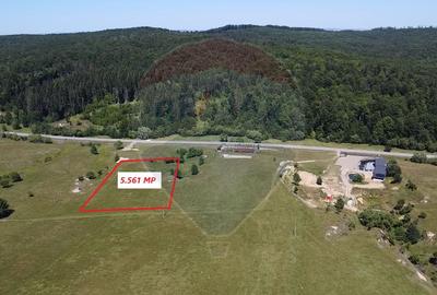 Teren agricol intravilan de 5561 mp, în Păltinoasa - 3