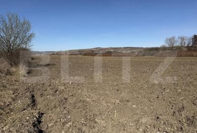 Teren în Hereclean - 2