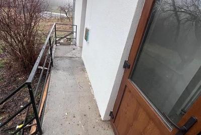 RECO, casa in Sinteu, aproape de Huta Slavia - 19