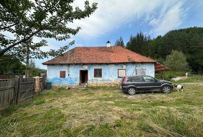 Casă tradițională în Valea Zălanului – acoperiș refacut teren 1.690 m² Casă tradițională în Valea Zălanului – acoperiș refacut teren 1.690 m² - 12