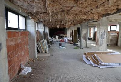 Spațiu comercial, de 317 mp, în Ipotești - 13