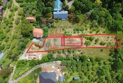 Teren Construcții intravilan de 1650 mp, în Valea Borcutului