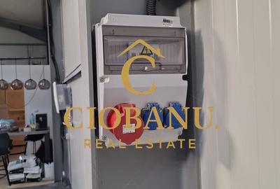 Hala de vanzare in Racarii de Jos - 5