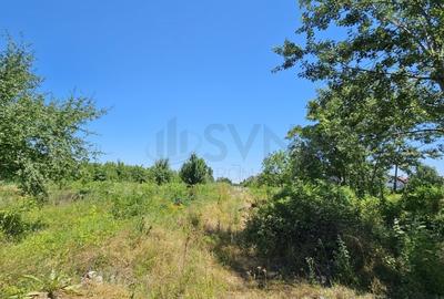 REL4001156 Teren de vanzare in Baneasa - 4