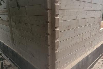 Casă cu 3 camere în Muntele Băișorii - 6