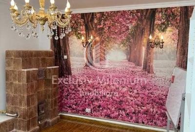 Casa la Curte Piata Muncii - Calea Calarasi Birouri - 3