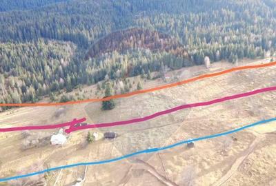 Teren intravilan 26232m.p. Dorna-Arini / Cozane?ti - 2