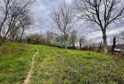 Teren 1260 mp/Pausesti Maglasi/Intravilan - 3