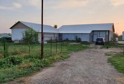 Spațiu comercial, de 5,100 mp, în Central - 5