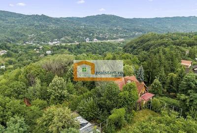Vedere directa la Padure, 5000mp teren, Vila D+P+1E+M, se... - 1