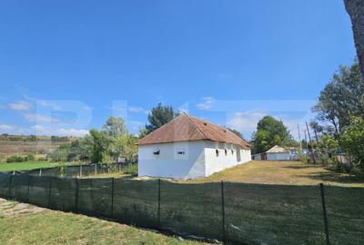 Constructie tip hala, 240 mp utili, teren 1000 mp, Brabova D - 1