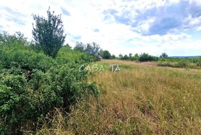 Teren agricol extravilan de 11464 mp, în Central - 1