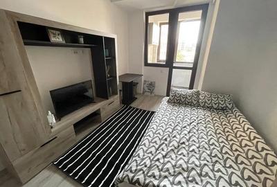 Garsonieră decomandată, mobilată în Podu Roș - 6