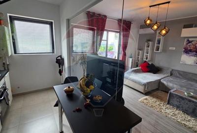 Apartament de inchiriat cu vedere la lac - 3