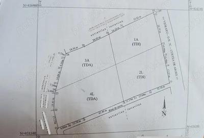 Teren 7150 mp de vanzare in Oesti Arges - 5