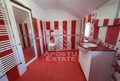 Casă cu 5 camere cu Teren 1763 Mp în Șag - 12