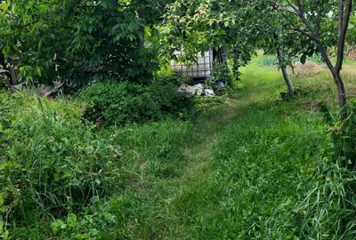 Vand casa in comuna Ciugud, sat Ciugud - 6