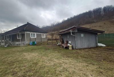 Casă cu 3 camere cu Teren 12861 Mp în Luncoiu de Jos - 7