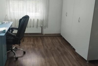 Casă cu 4 camere cu Teren 740 Mp în Pișchia - 6