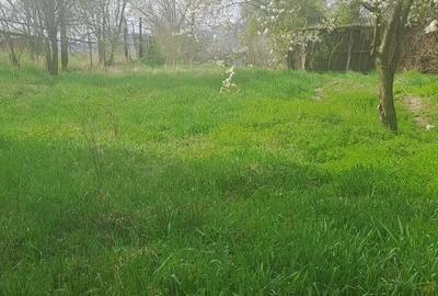 Casă cu Teren 700 Mp în Central - 3