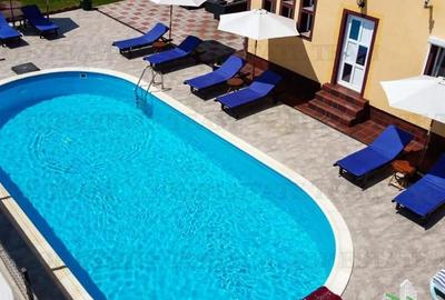 VILA CU PISCINA COSTINESTI - 11