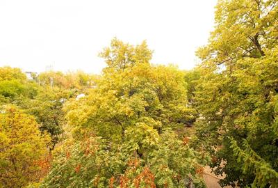Apartament 2 camere, 50 mp de vanzare Pajura, Parc Bazilescu - 15