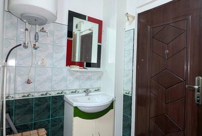 Camera de camin sau doua Gemenii Florilor - 7