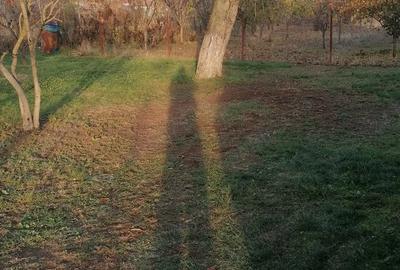 Casă în Central - 2