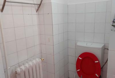Apartament cu 3 camere decomandat în Dosu Bricii - 8