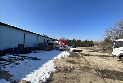 Depozit/hala/spatiu industrial Bragadiru - Centura - 7