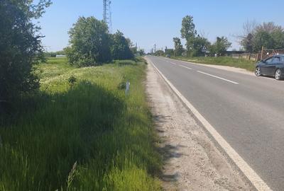 Teren de 12500 mp, în Corbii Mari - 3
