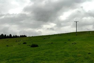 Teren de 1113 mp, în Paltin - 1