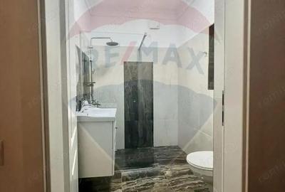 Apartament cu 2 dormitoare in zona Ultracentral, de inchiriat - 9